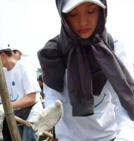 2008Ѹ봨